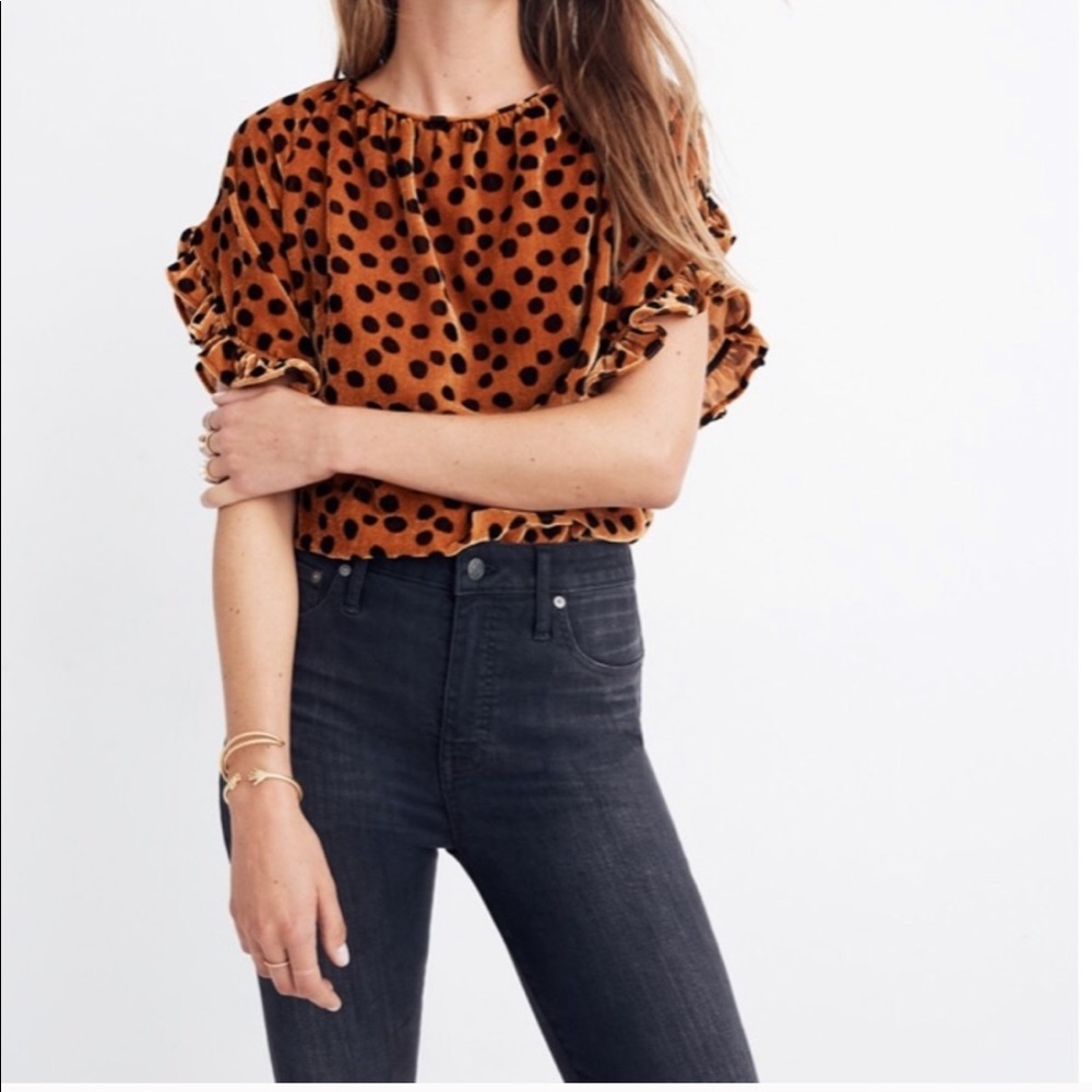 NWOT Velvet dot Madewell top!